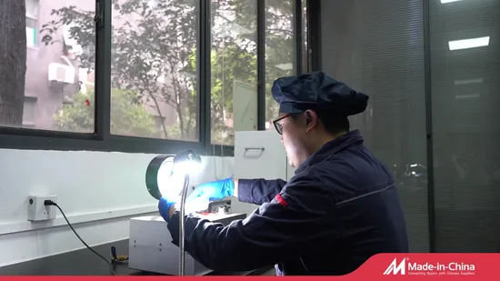 Durable Eptfe Hydrophobic Microporous Membrane for Air and Liquid Filtration PTFE 